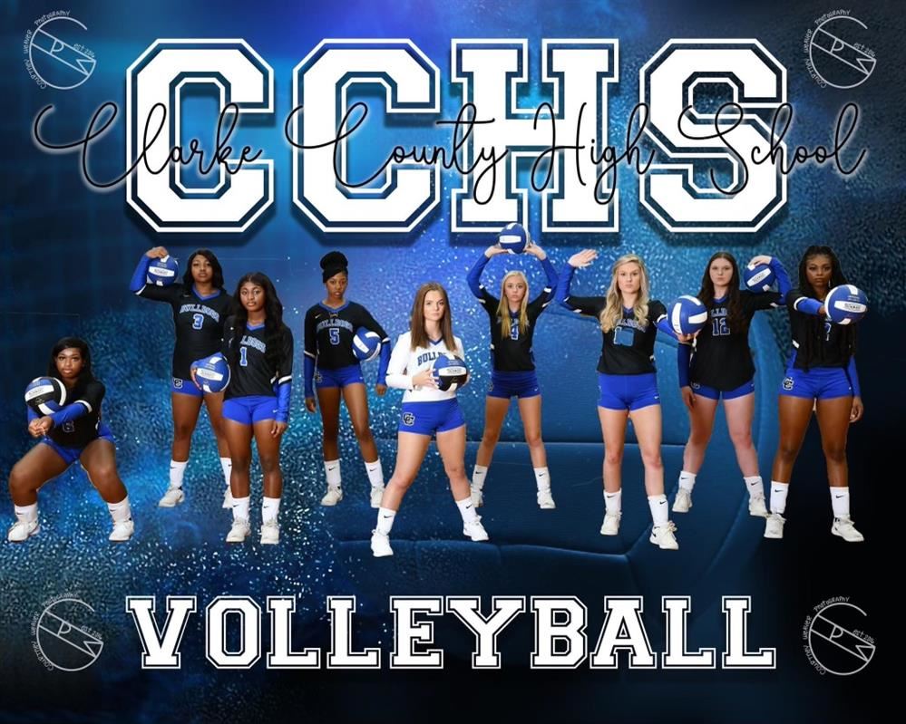 Volleyball Group Shot